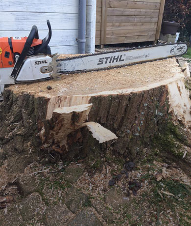 Stihl kettingzaak