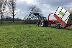 venray_groen_boomverzorging